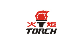 Weichai Torch Technology Co., Ltd.