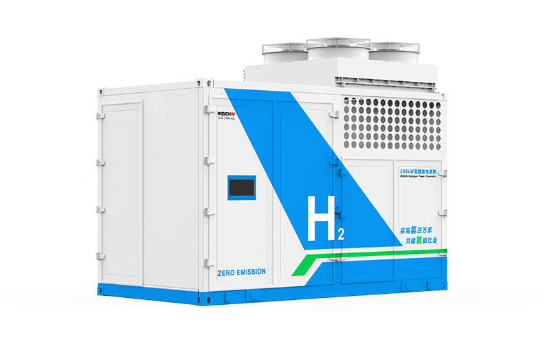 Combined Heat and Power (CHP) WEFG260